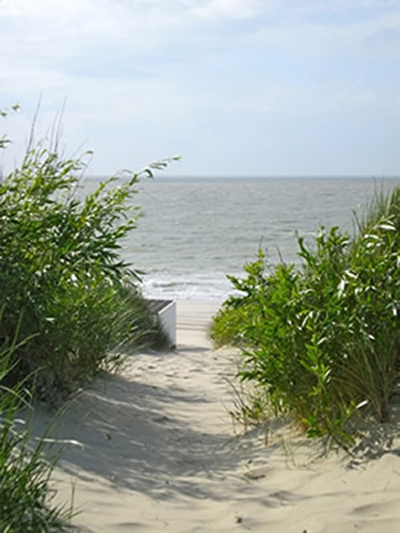 Meer